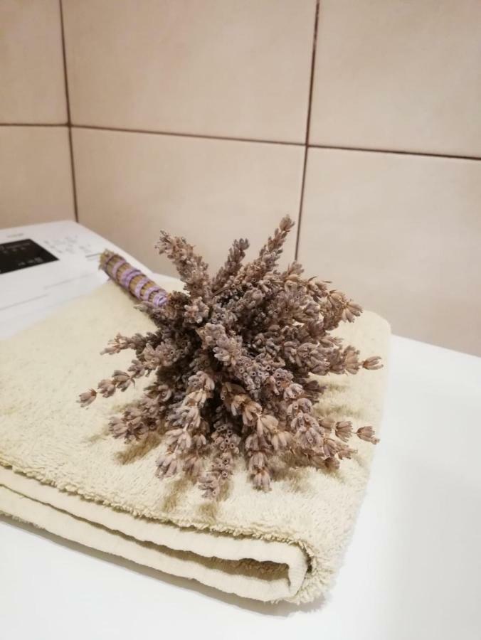 Apartman Jela Šibenik Eksteriør billede